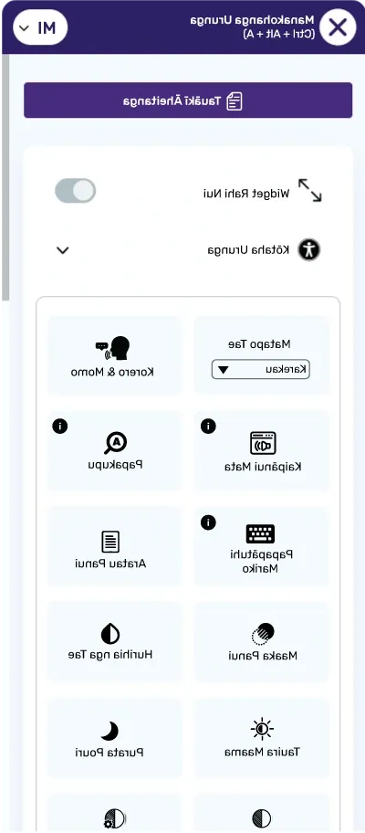 maori accessibility toolbar