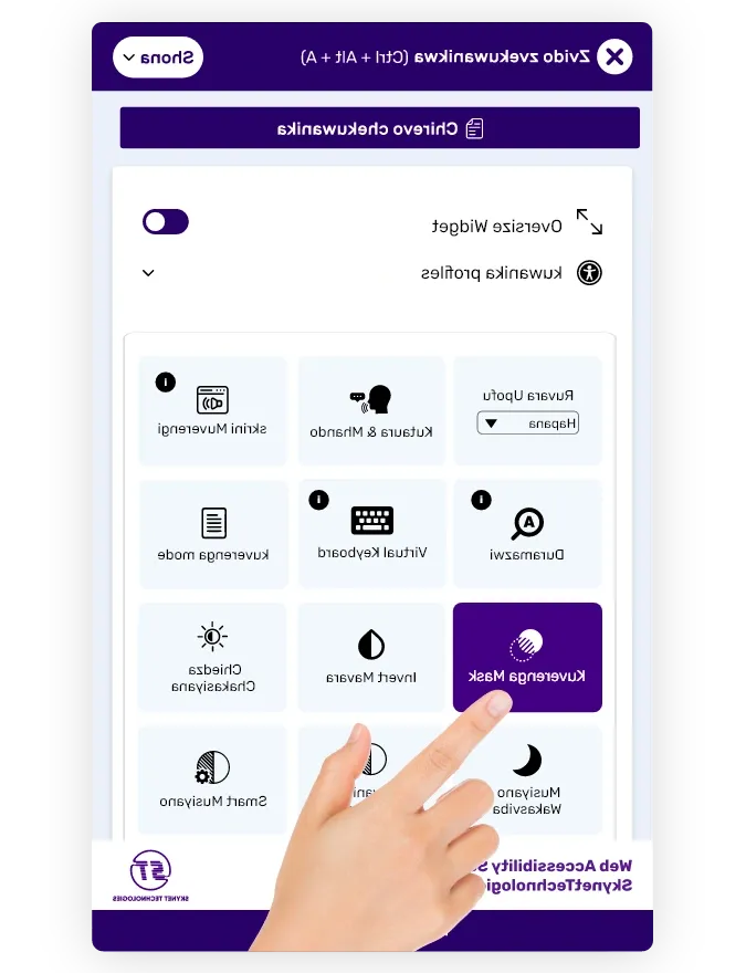 shona accessibilitywidget